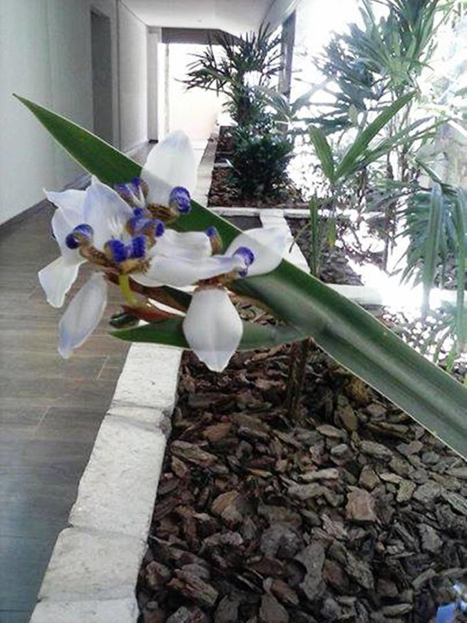 Hotel Luz Fronteira Esterno foto